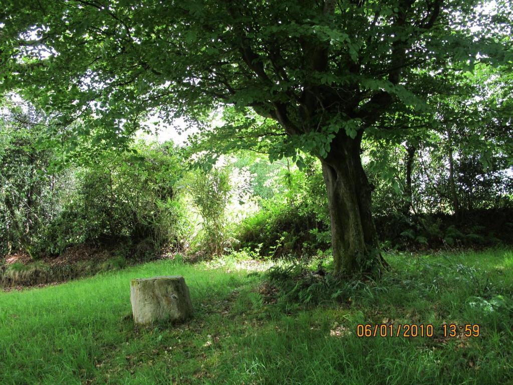 Five Oaks Bed & Breakfast Londonderry Bagian luar foto
