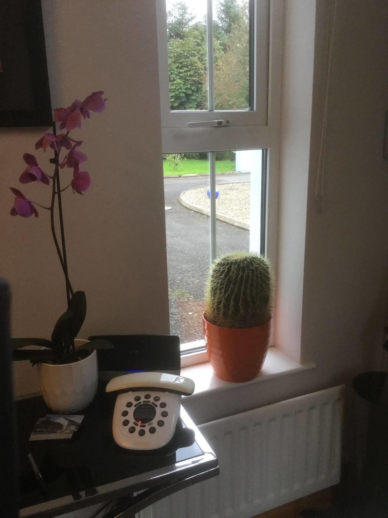 Five Oaks Bed & Breakfast Londonderry Bagian luar foto