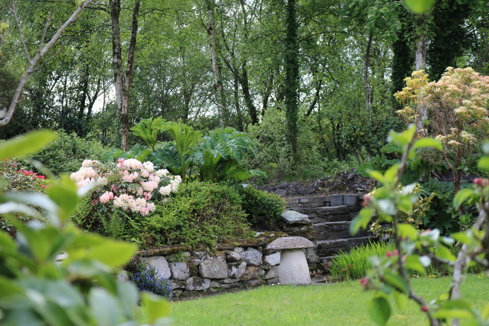 Five Oaks Bed & Breakfast Londonderry Bagian luar foto
