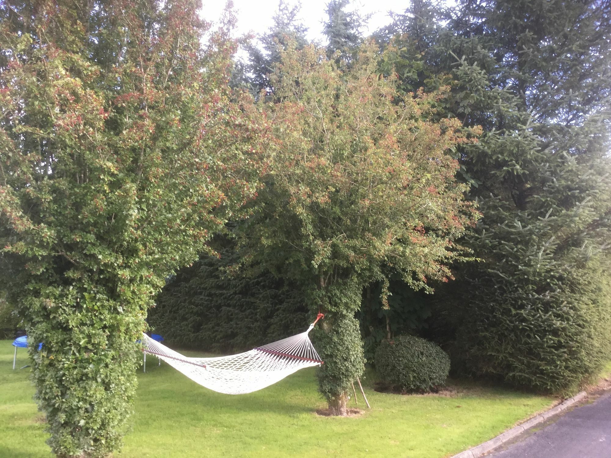 Five Oaks Bed & Breakfast Londonderry Bagian luar foto
