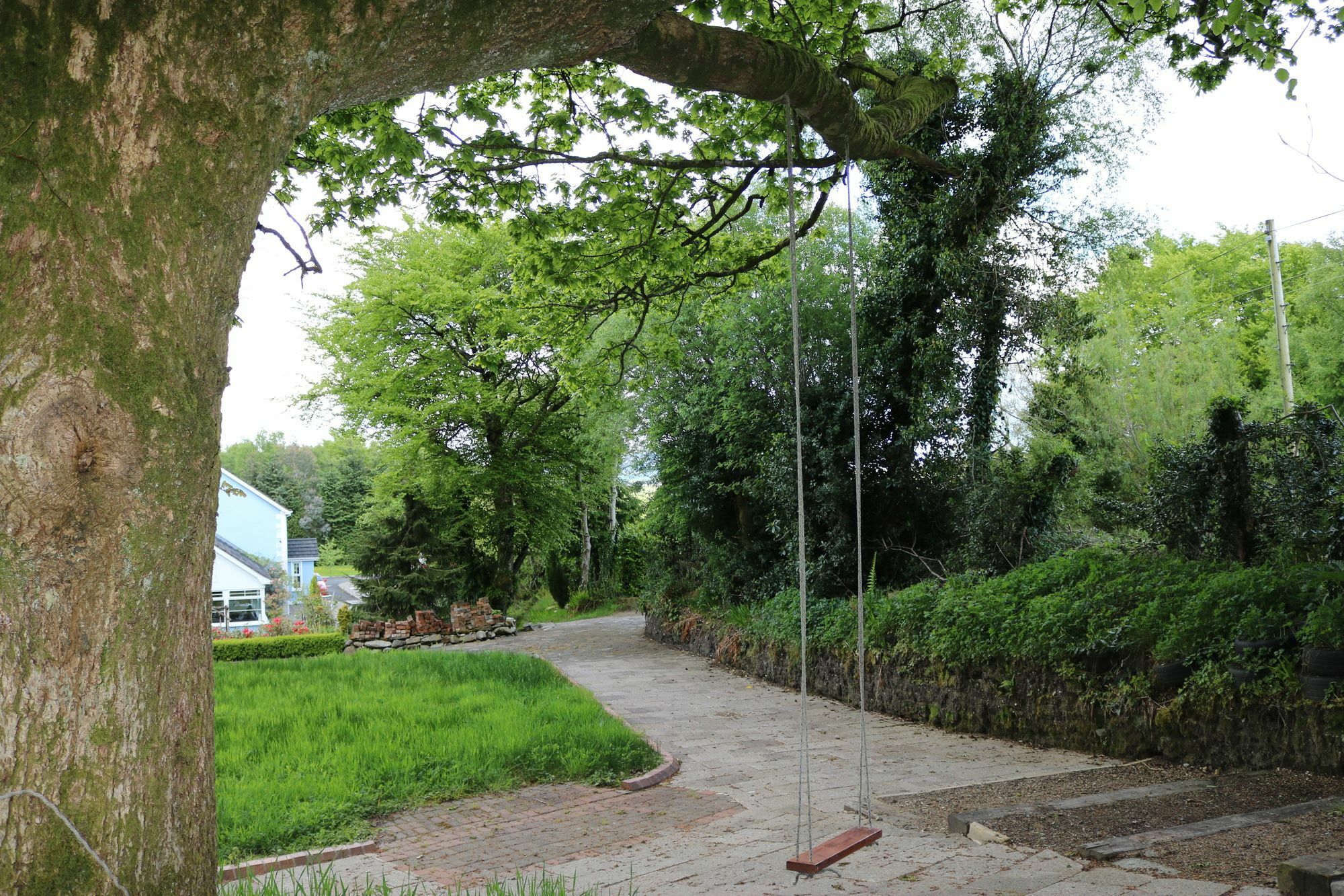 Five Oaks Bed & Breakfast Londonderry Bagian luar foto