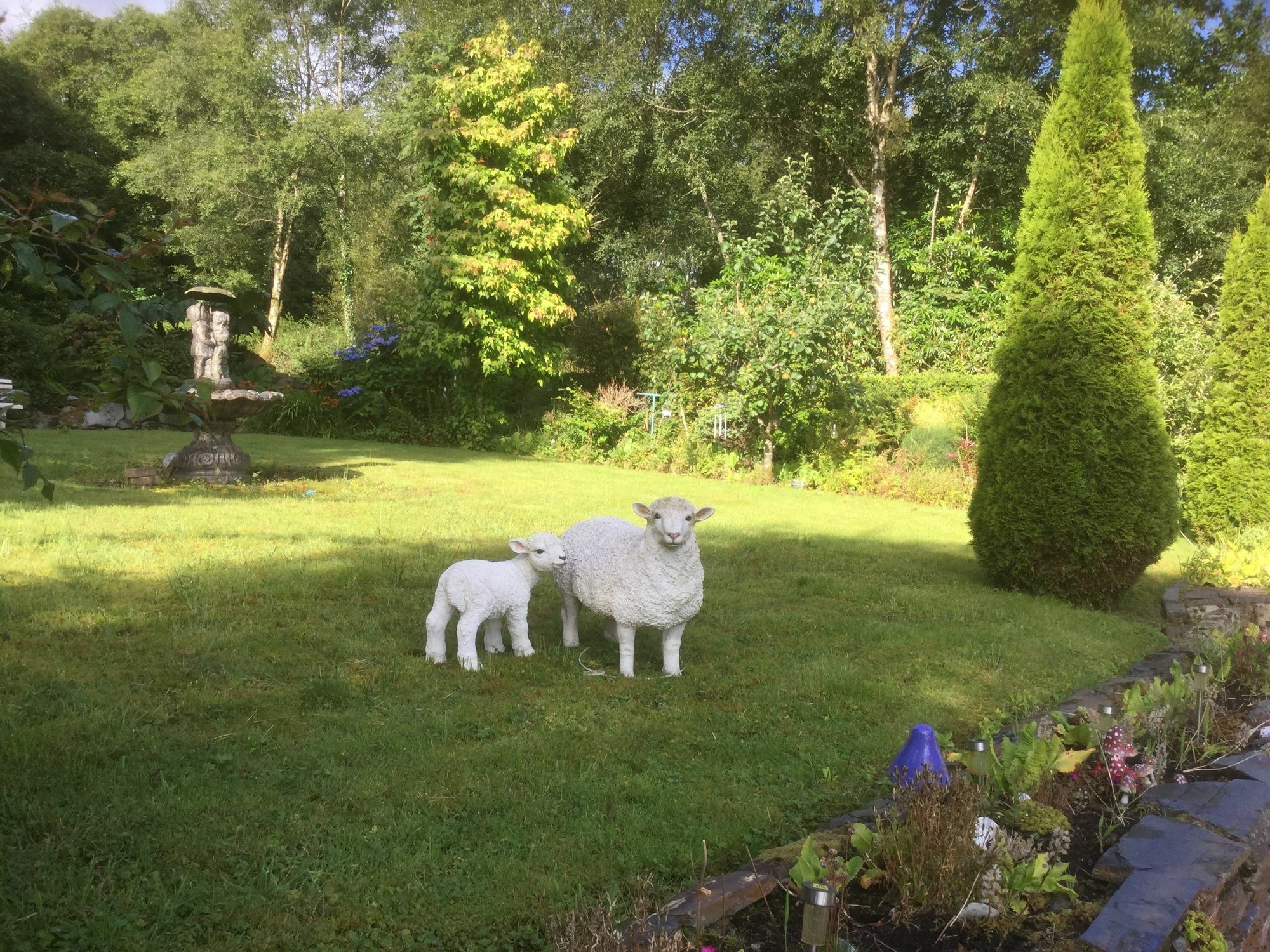 Five Oaks Bed & Breakfast Londonderry Bagian luar foto